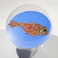 Sfera pesce rosso 2009 - diametro 40cm, olio su plexiglass trattato con resine, acrilico e smalti | Gianna Moise
